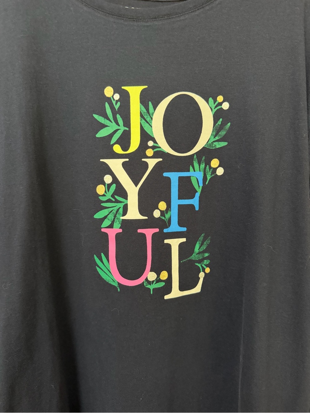 New Talbots Joyful Holiday Top ~ Long Sleeve Graphic Tee Christmas Shirt 3X NWT